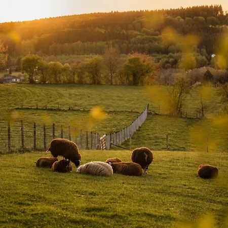 Camping Rust & Luxe Voor Natuurgenieters The Grand View *